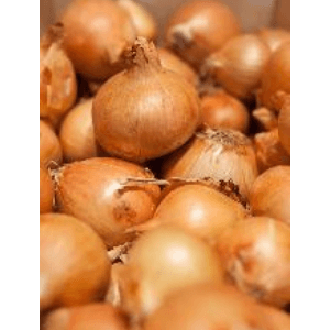 OIGNON jaune - 500 g - 3,50 €/kg -